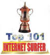 Internet Surfer
