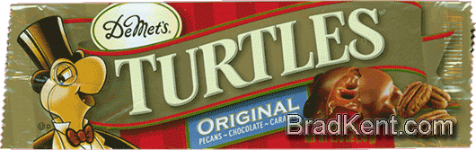 Turtles